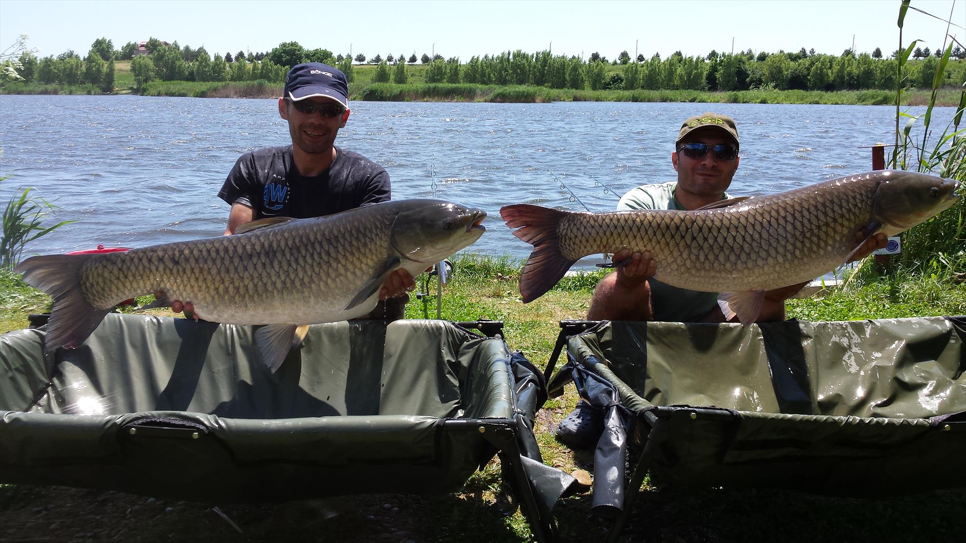 Tancabesti 5 - 6 iunie 2015 - 20150606123819.jpg